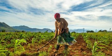 How FINCA Uganda Is Powering Uganda’s Agricultural Revival