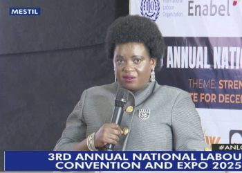 Govt is set to launch the third decent work programme to Uplift the dignity of workers