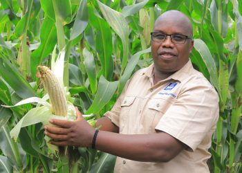 Unlocking Uganda’s Agricultural Potential: A Targeted Approach to Women and Youth