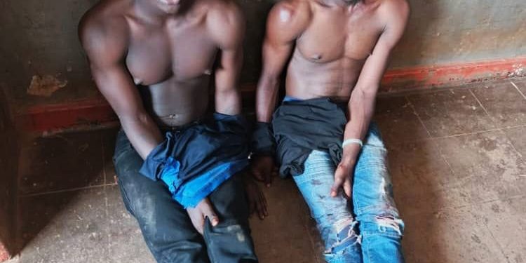 Arrested suspects paraded at police.