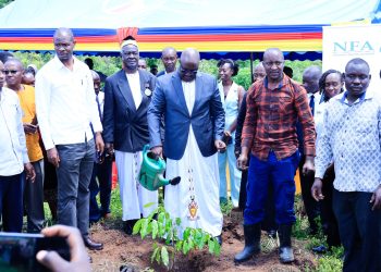 Masindi Central Forest Reserve Restoration initiative kicks-off