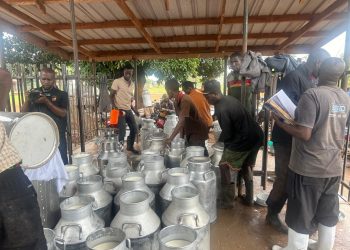 Improved Milk Quality in Kiboga attributed to Clean Water