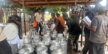 Improved Milk Quality in Kiboga attributed to Clean Water