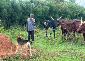 The story of Mzee Temitewo; How access to clean water has transformed his life