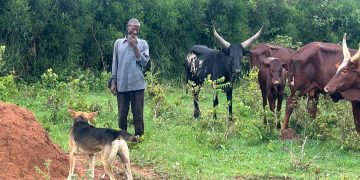 The story of Mzee Temitewo; How access to clean water has transformed his life
