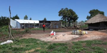 How Expanding Financial Access Empowers Refugees