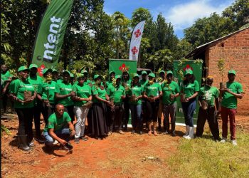Environment conservation: AAR Insurance  plants 1,000 trees in Zirobwe