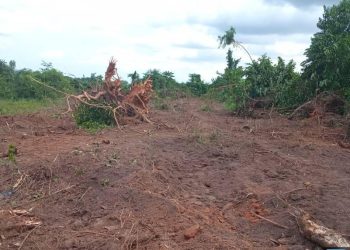 Illegal Grading Foiled in Kifu Forest Reserve: Tractor Impounded, Suspect Detained