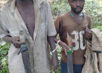 Eight Arrested for Illegal Forest Clearance in Kagombe Central Forest Reserve
