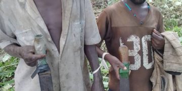 Eight Arrested for Illegal Forest Clearance in Kagombe Central Forest Reserve
