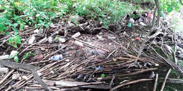 Nations come together to establish new Intergovernmental Science-Policy Panel on Chemicals, Waste and Pollution