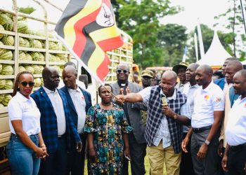 Boosting youth employment through agribusinesses in Busoga: SAYE launches new marketing season