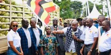 Boosting youth employment through agribusinesses in Busoga: SAYE launches new marketing season