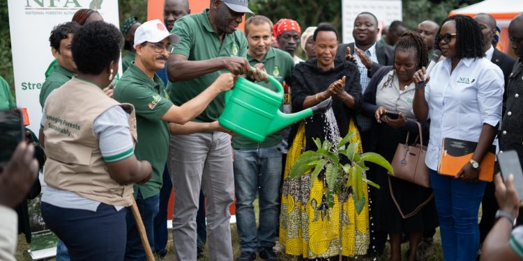 Governor of the Bank of Uganda, Michael Atingi-Ego, and Shashi Dhar, and  Managing Director of Bank of Baroda during the tree planting event in Jubiya forest reserve masaka.