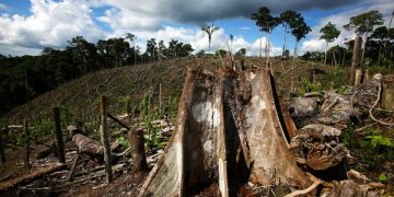 Uganda embarks on developing its third Nationally Determined Contributions (NDC 3.0)