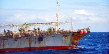 Namibia struggles to contain illegal fishing