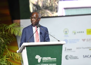 Africa’s Youth to Take Center Stage at 2025 Africa Food Systems Summit in Senegal