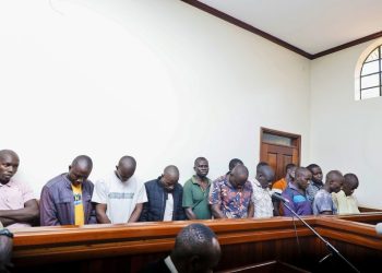 17 charged with terrorism over vandalism of electricity infrastructure