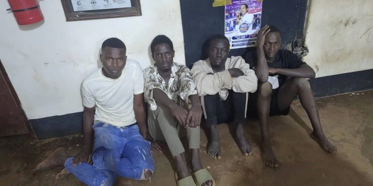 Some of the suspects. Courtesy photo.