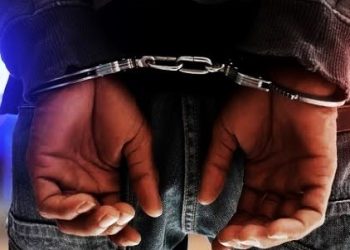 Tiktok skit backfires: Content creator arrested for wielding panga in public