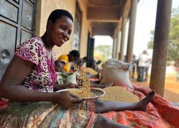 Youth Livelihoods Boosted Through Soya Bean Farming and Agrihub Initiative