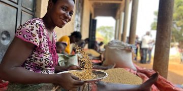 Youth Livelihoods Boosted Through Soya Bean Farming and Agrihub Initiative