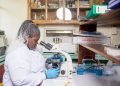 Uganda Marks World Mosquito Day with Renewed Efforts to Fight Malaria