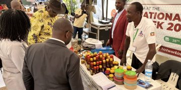 Beekeepers Urge Government to Regulate Honey Imports