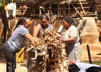 Waste to Wealth: Turning Urban Trash into Sustainable Treasure in Uganda