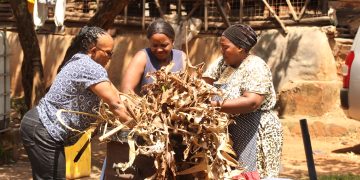 Waste to Wealth: Turning Urban Trash into Sustainable Treasure in Uganda