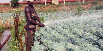 Agricultural Sector Players Embrace New World Bank USD $354M UCSATP Project