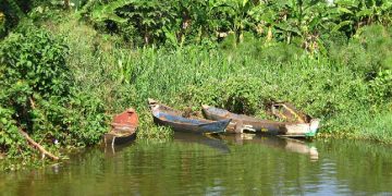 Lake Kyoga Horror: Seven dead, dozens rescued after boat capsizes near shore