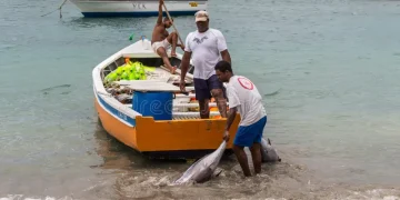 Mauritanian Fishermen Struggle to Survive 15 Years After Chinese Fishing Deal