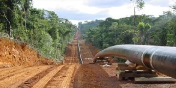 NFA Begins Removal of Illegal Trees in EACOP Corridor to Safeguard Forest Reserves and Support Pipeline Project