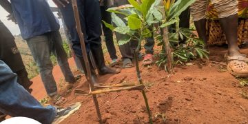 Uganda rallies for transformation of food systems to tackle hunger, as country gears up to the 45th World Food Day