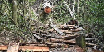 NFA, Entebbe leaders oppose Chinese Firm’s plan to build ‘Alternative City’ in Kitubulu Forest