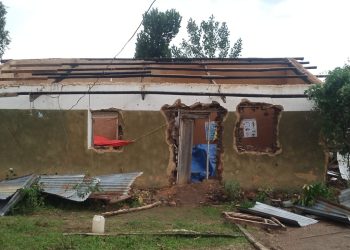 Family Accuses RDCs of Land Grabbing, Appeals to President Museveni for Intervention