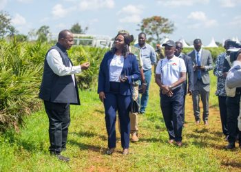 Equity Bank and Ministry of Agriculture Launch National Oil Palm Project in Mayuge