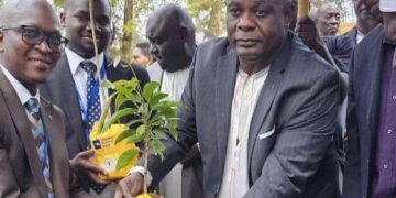 Housing Finance Bank Secures 100 Acres from Kooki Kingdom to Propel its Tiny Forests Initiative