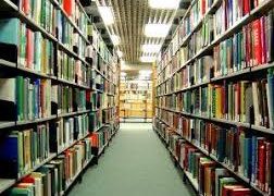 African professors must stop counting publications – start building nations