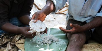 From hides to a hidden treasure: Enkuru, one of Uganda’s boldest traditional delicacy