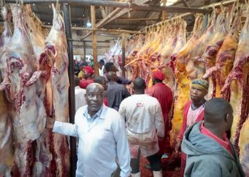 Low Cattle Supply Drives Up Meat Prices