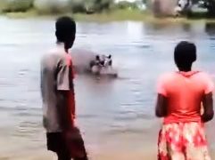 Zambia’s Tourism Ministry, sounds alarm after children filmed themselves provoking Hippo
