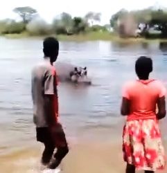 Zambia’s Tourism Ministry, sounds alarm after children filmed themselves provoking Hippo