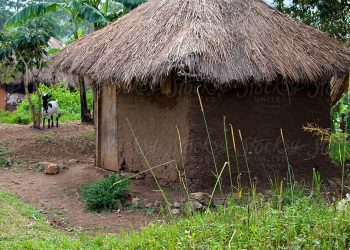 Taboo: Siblings punished for engaging in sexual intercourse