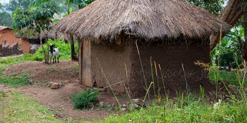 Taboo: Siblings punished for engaging in sexual intercourse