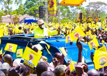 Cattle Restocking Initiative for Lango, Teso and Acholi to Begin After Elections – Museveni