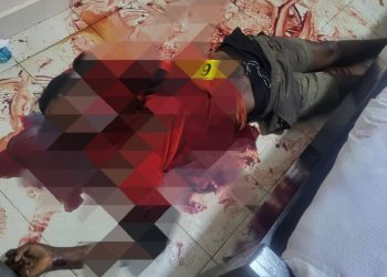 Hotel manager, guard stabbed to death, assailants flee with car