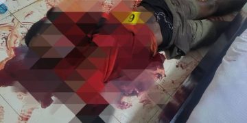 Hotel manager, guard stabbed to death, assailants flee with car