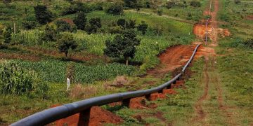 Communities Struggle as EACOP Livelihood Restoration Programme Falls Short – AFIEGO Report